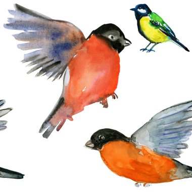 Sulu Boya Dikişsiz desen kuşlar