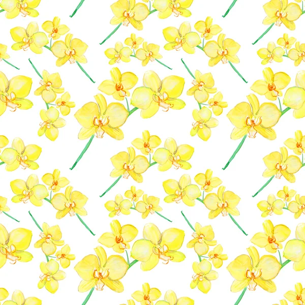 Padrão sem costura com flores amarelas de orquídea — Fotografia de Stock