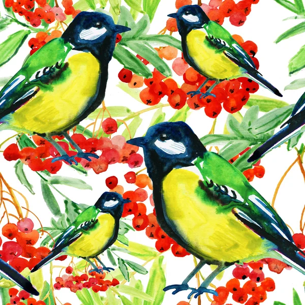 Rowan rojo bayas ramita y aves —  Fotos de Stock