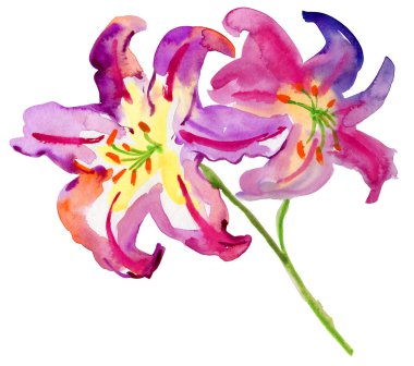 güzel pembe çiçekler