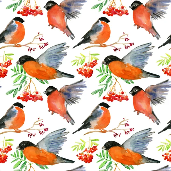 Aquarel Handgeschilderde Naadloze Patroon Met Vogels — Stockfoto