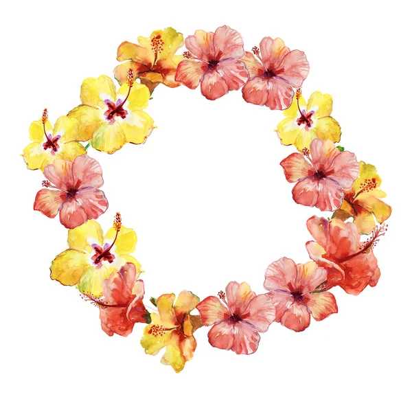 Greeting decoration wreath with hibiscus flowers — Stock Photo, Image