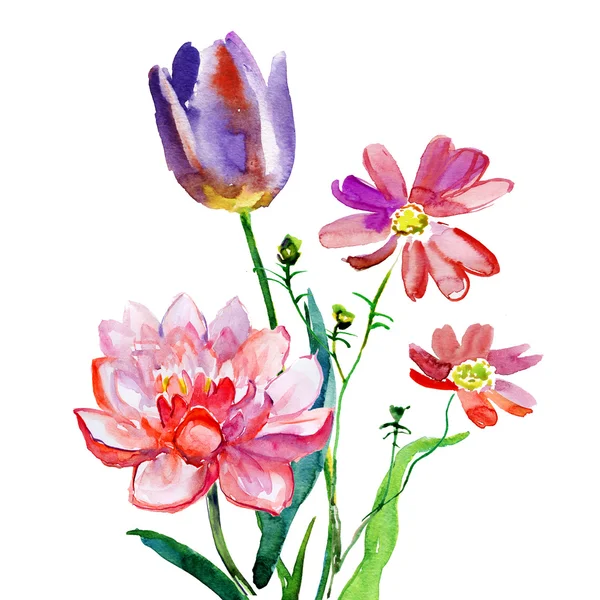 Tulpen en lotusbloemen — Stockfoto