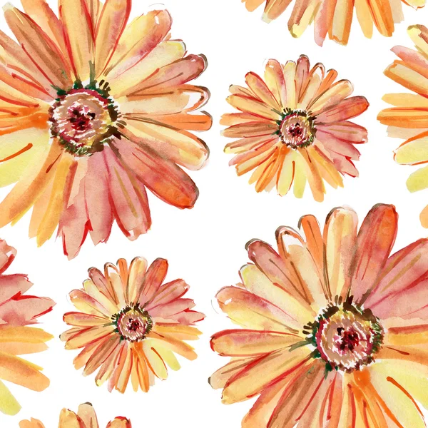 Aquarela flores de camomila . — Fotografia de Stock