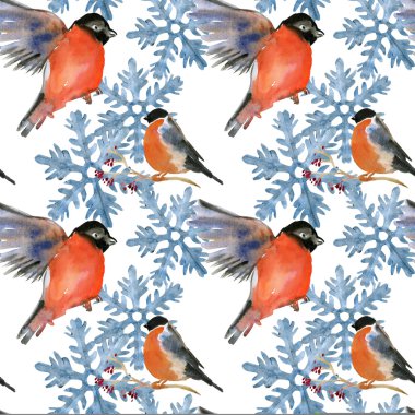 Bullfinches ve kar taneleri.