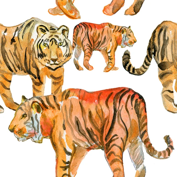 Pattern of Tigers. — Stock Photo, Image