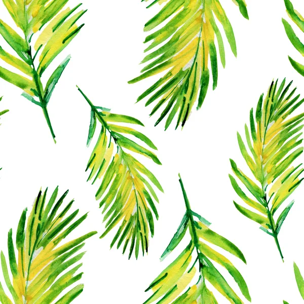 Palm tree watercolor background — Stock Photo, Image