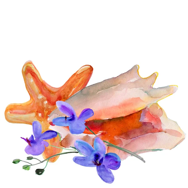 Coquille de mer, étoile de mer et fleurs d'orchidée — Photo