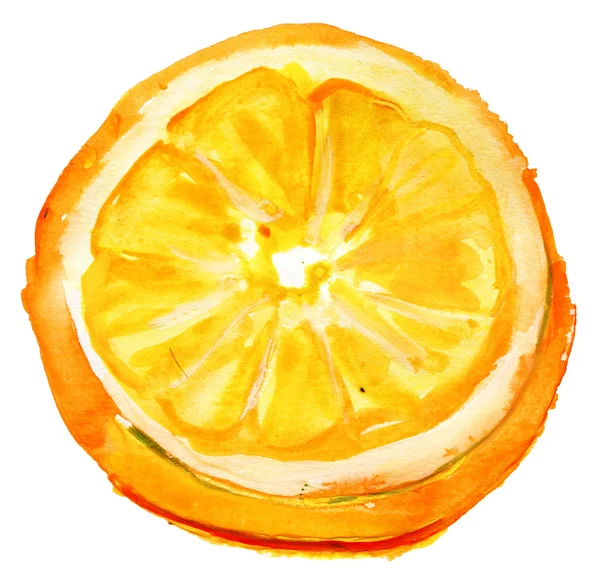 Aquarell Orangenscheiben — Stockfoto