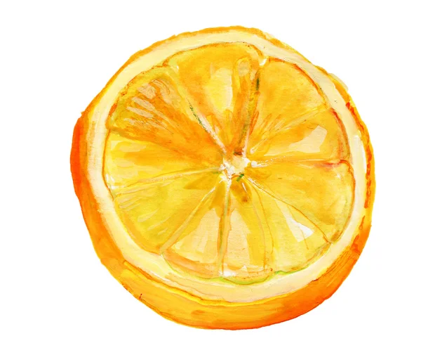 Aquarell Orangenscheiben — Stockfoto