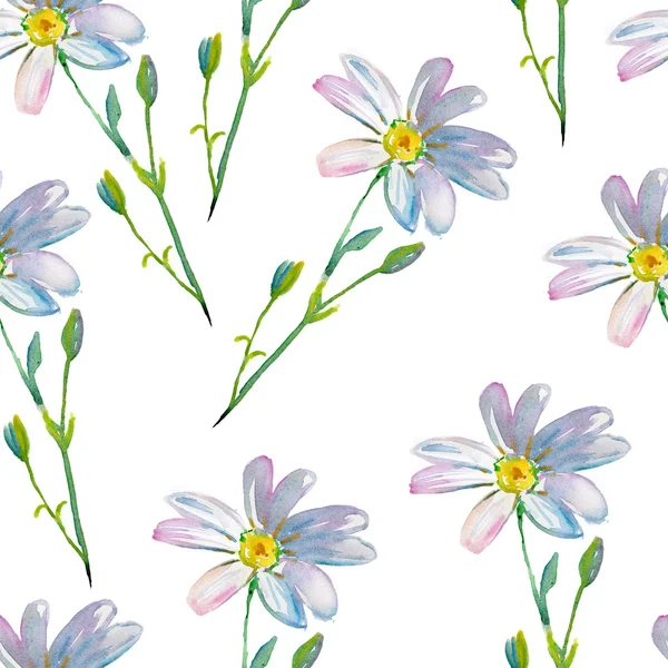 Cosmos flores padrão sem costura — Fotografia de Stock