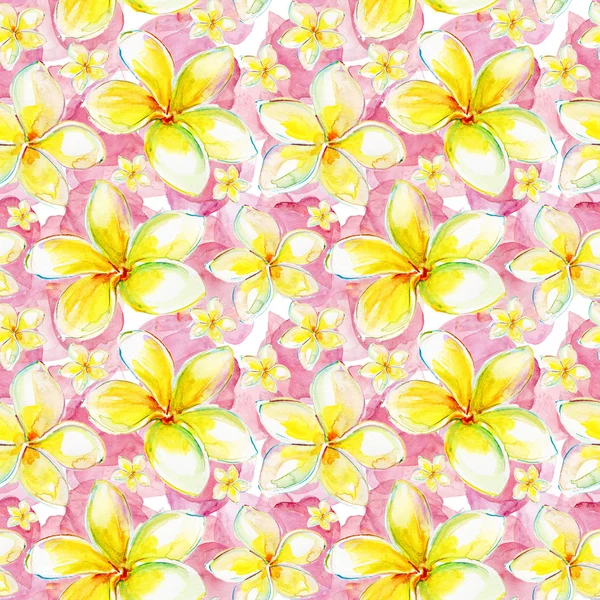 Plumeria flores fondo sin costura . —  Fotos de Stock