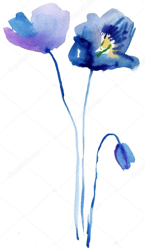 Watercolor painting of blue poppy flowers
