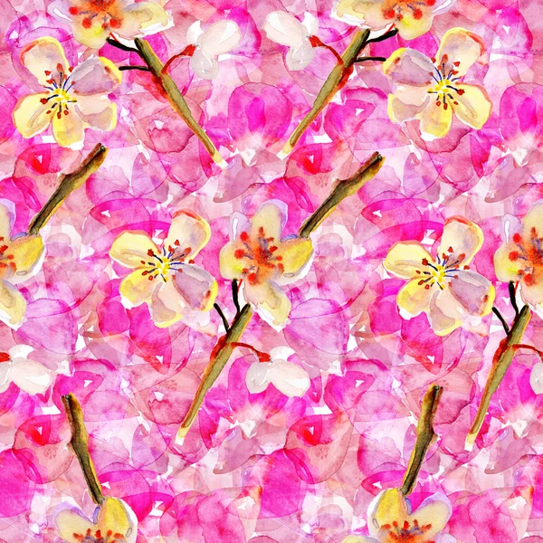 Sakura flowers seamless pattern. — Stock Photo, Image