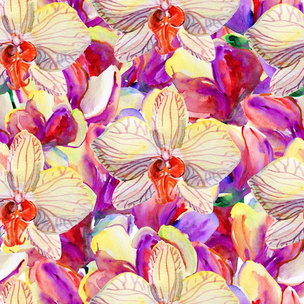 Seamless pattern with orchid flowers — Stock Photo, Image