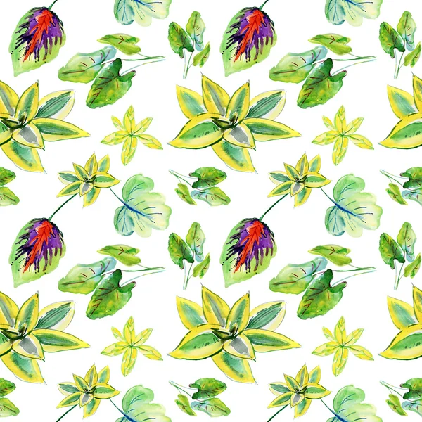 Watercolor Seamless Pattern Green Succulent Plants Tropical Leaves Background — Stock Photo, Image