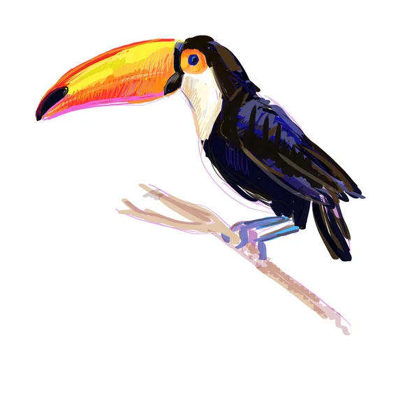 Cute toucan sitting on branch. — Stock Photo, Image