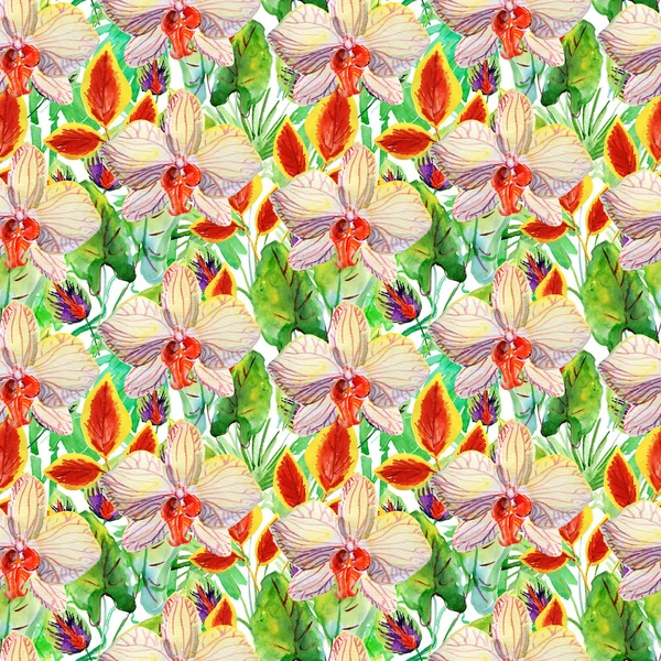 Tropical Plants Seamless Pattern Exotic Flowers Watercolor — Stock Photo, Image