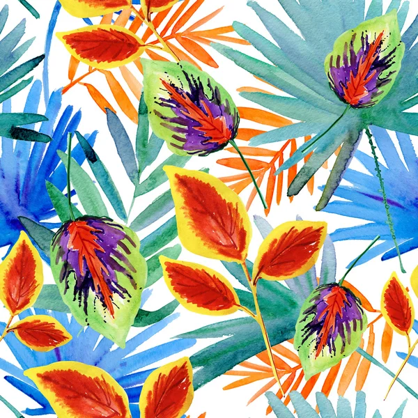 Akvarel tropické listy. — Stock fotografie