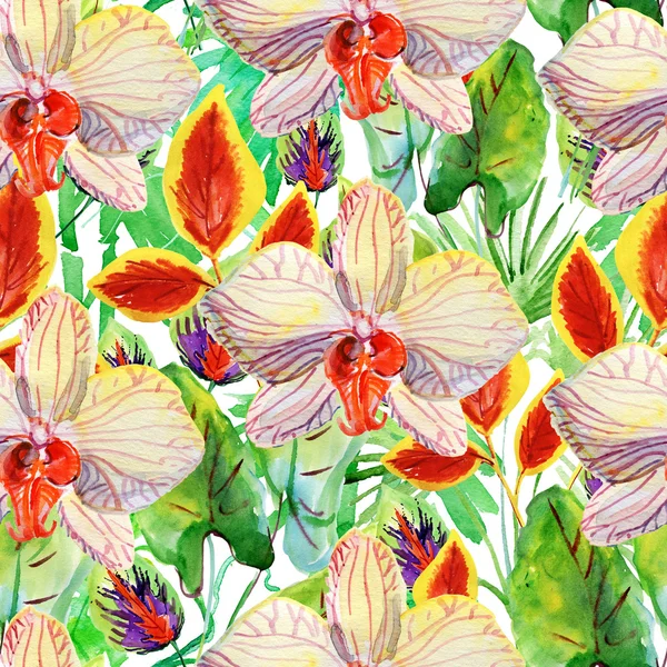 Exotic flowers pattern — Stock Photo, Image