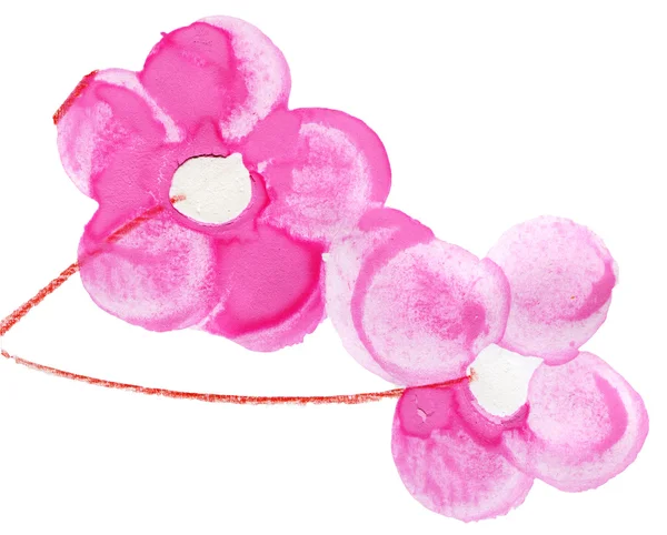 Aquarela flores rosa — Fotografia de Stock