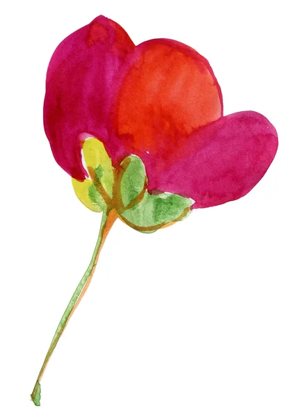 Όμορφη ακουαρέλα κόκκινο λουλούδι — Φωτογραφία Αρχείου