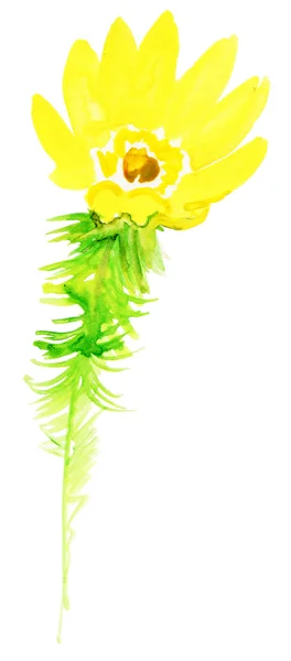 Beautiful watercolor yellow flower — Stock Photo, Image