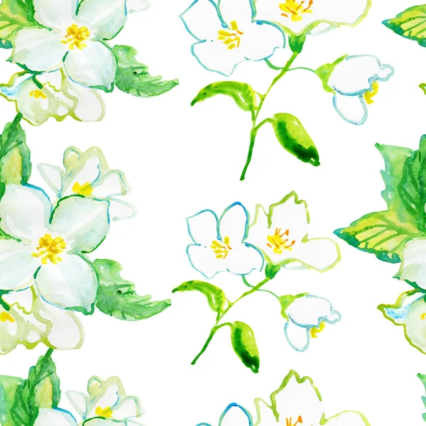 Background with Blooming Jasmine — Stock Photo, Image