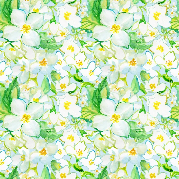 Background with Blooming Jasmine — Stock Photo, Image