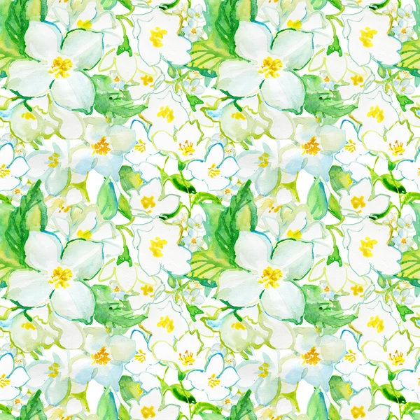 Background with Blooming Jasmine — Stock Photo, Image