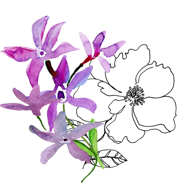 Εικονογράφηση ζωηρόχρωμα λουλούδια — Φωτογραφία Αρχείου