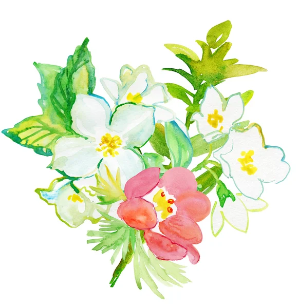 Acquerello illustrazione fiori — Foto Stock