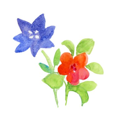 Çiçeklerin suluboya çizimi