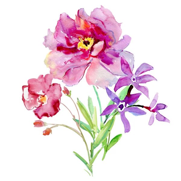 Colorful wild flowers illustration — Stock Photo, Image