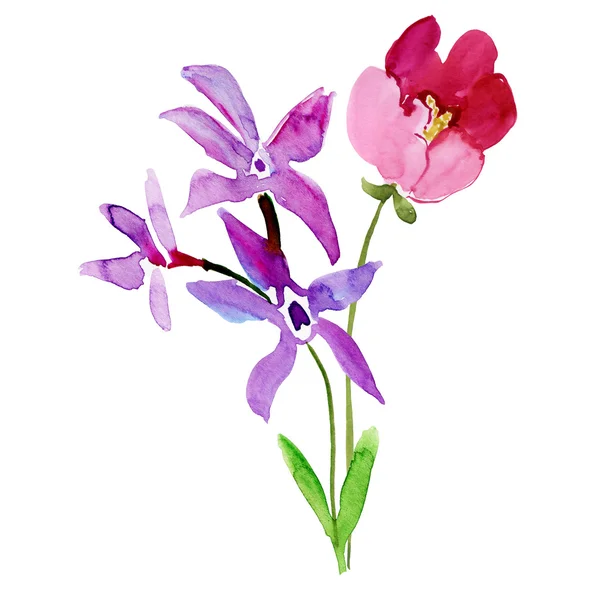 Prachtige Wilde Bloemen Aquarel Illustratie — Stockfoto