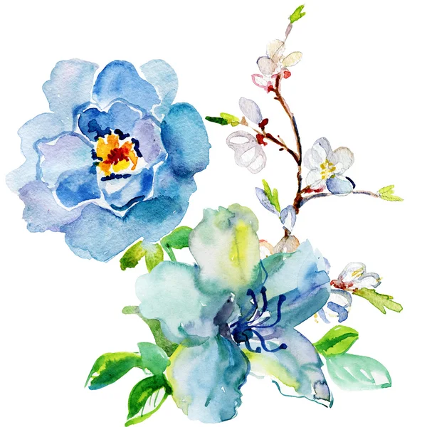 Aquarell schöne Blumen — Stockfoto