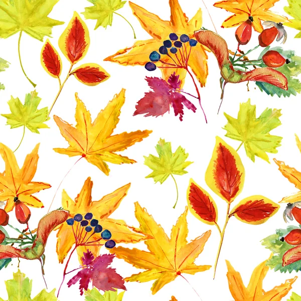 Watercolor Autumn Leaves Seamless Pattern White Background — Stock Photo, Image