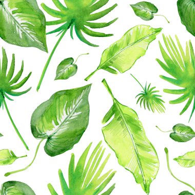 yeşil tropik yapraklar