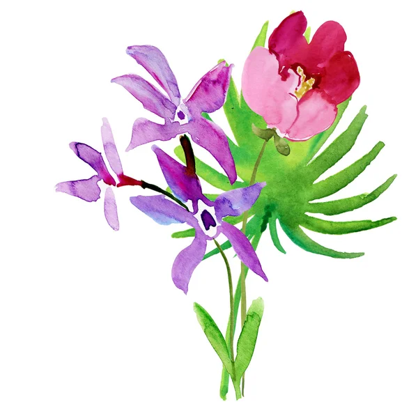 Kleurrijke wild flower — Stockfoto