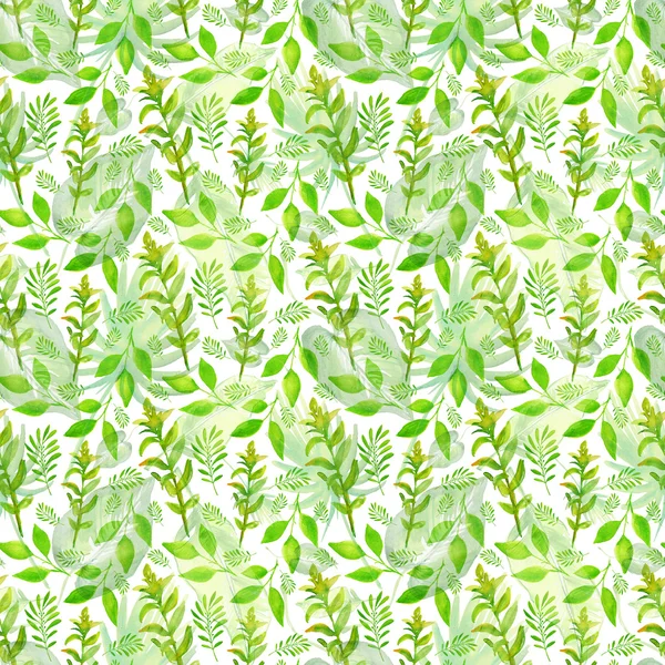 Ramos com folhas verdes — Fotografia de Stock