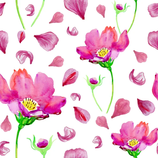 Pink watercolor flowers and petals — Stock Photo, Image