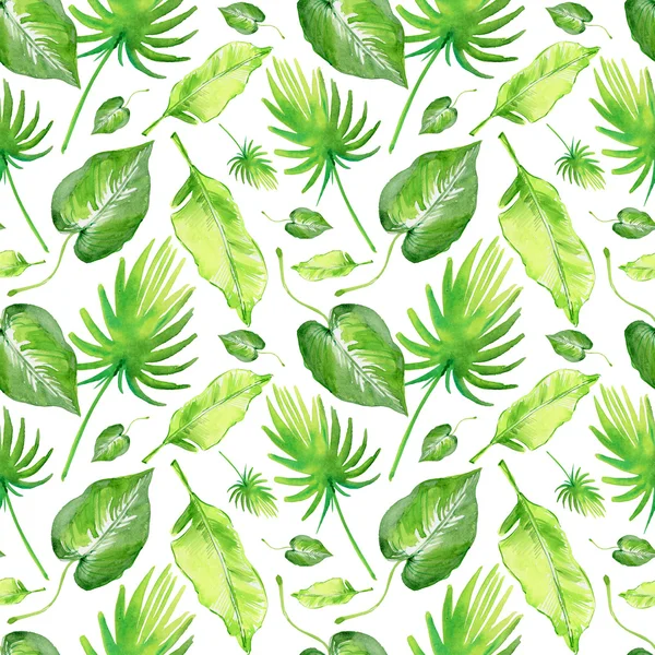 Tropical Seamless Pattern — Stock Photo, Image