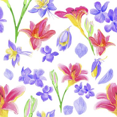 Beyaz arkaplanda düzenlenmiş renkli çiçekler