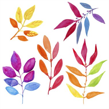 Renkli sonbahar yaprakları