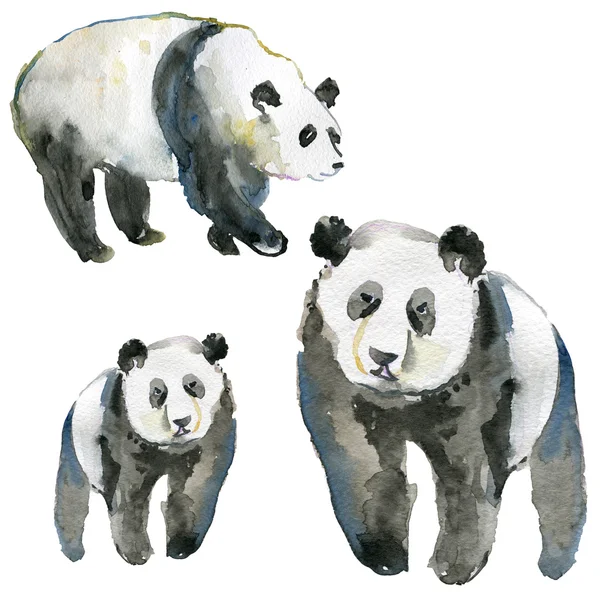 Aquarela pintados à mão Pandas — Fotografia de Stock