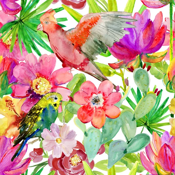热带鹦鹉、 仙人掌、 鲜花和水果 — 图库照片