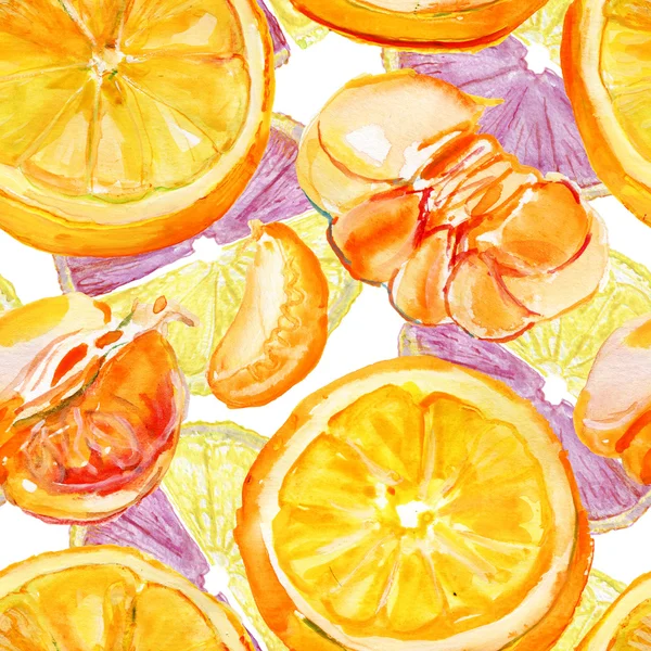 手描き水彩の柑橘系の果物 — ストック写真