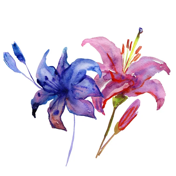 Flowers in watercolor paintings — Stock Photo, Image