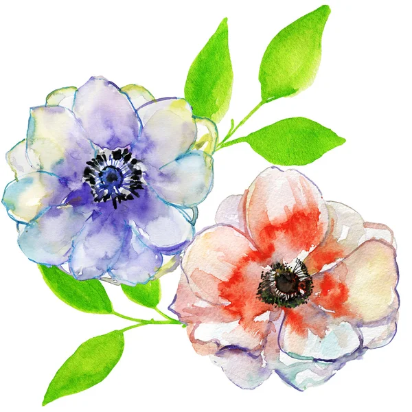 Gestileerde bloemen aquarel — Stockfoto