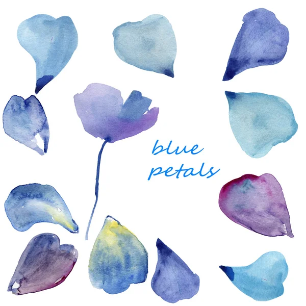 異なる青い花びらのセット ロイヤリティフリーのストック画像